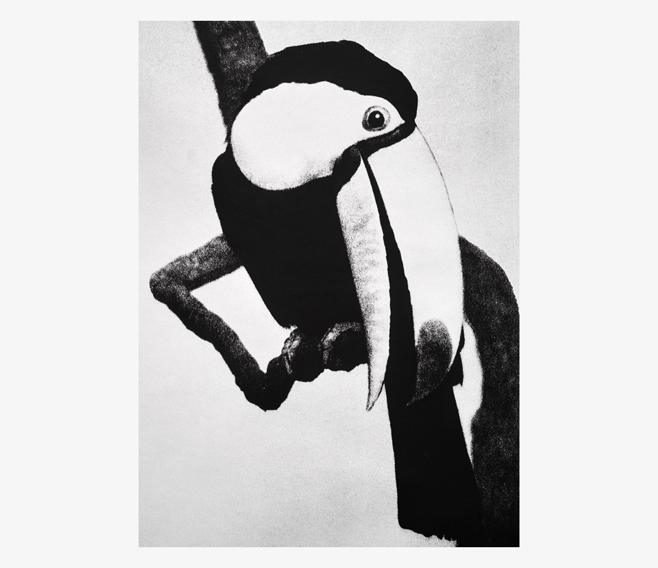 Foto: Jan Paul Evers