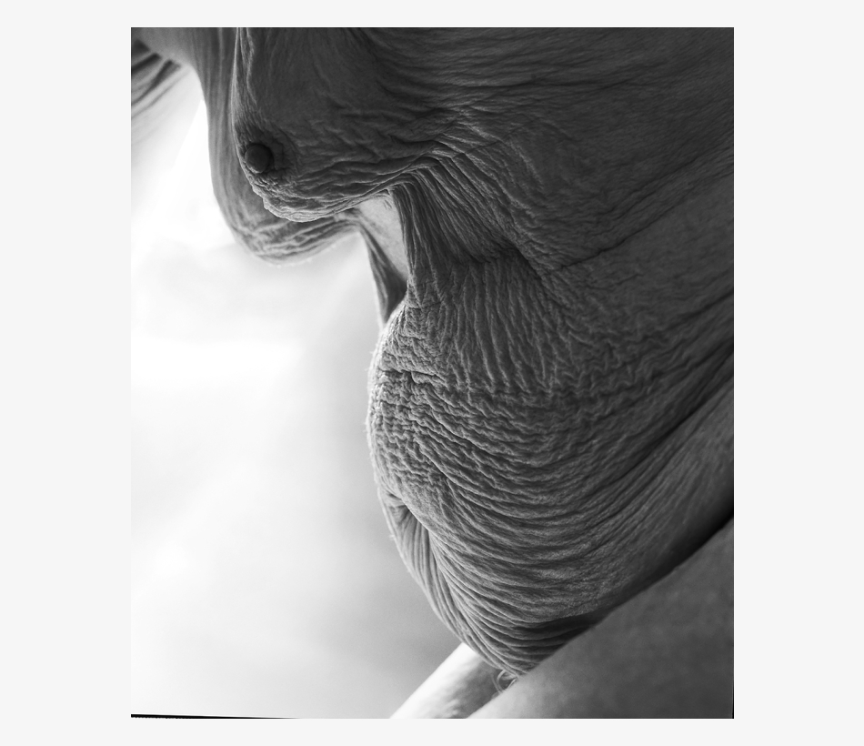 Foto: Herlinde Koelbl