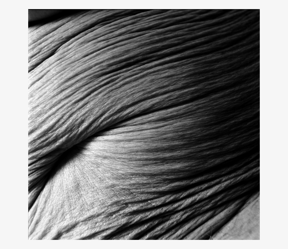 Foto: Herlinde Koelbl