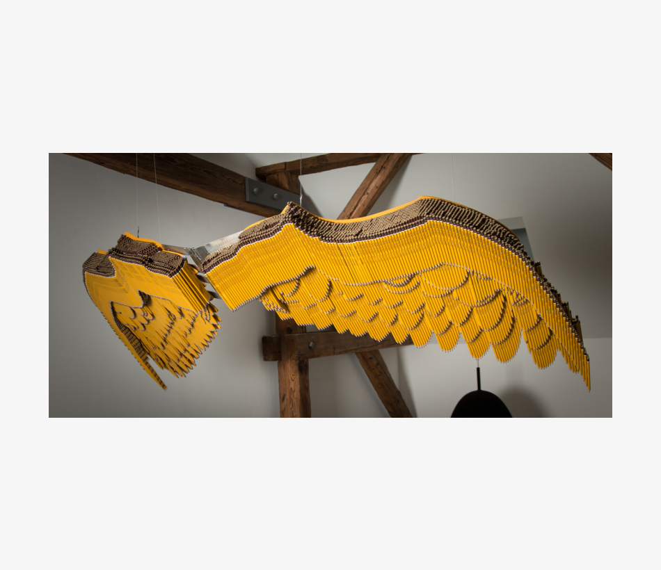 © Brandy Brandstätter