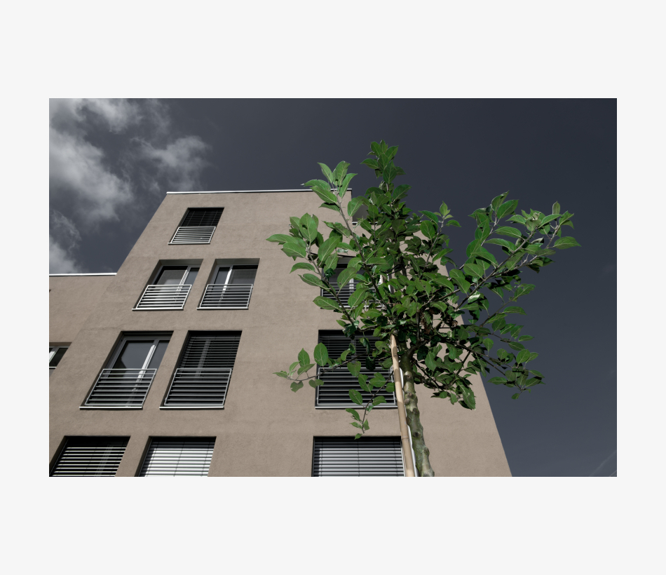 © Ferdinand Neumüller