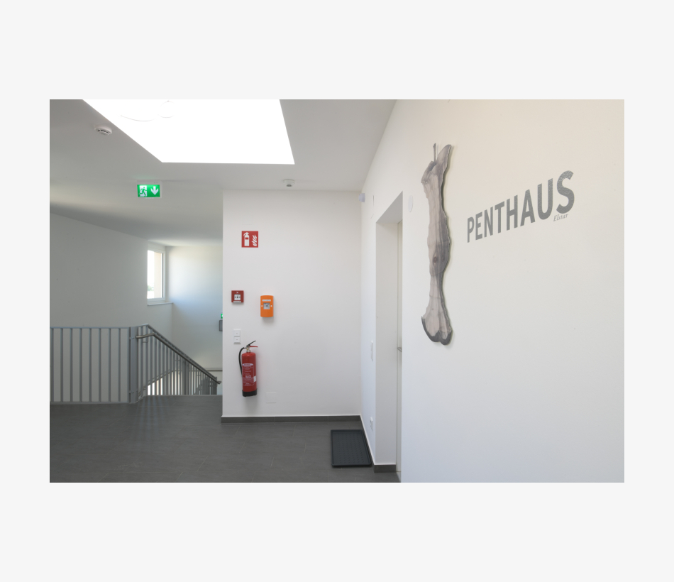 © Ferdinand Neumüller