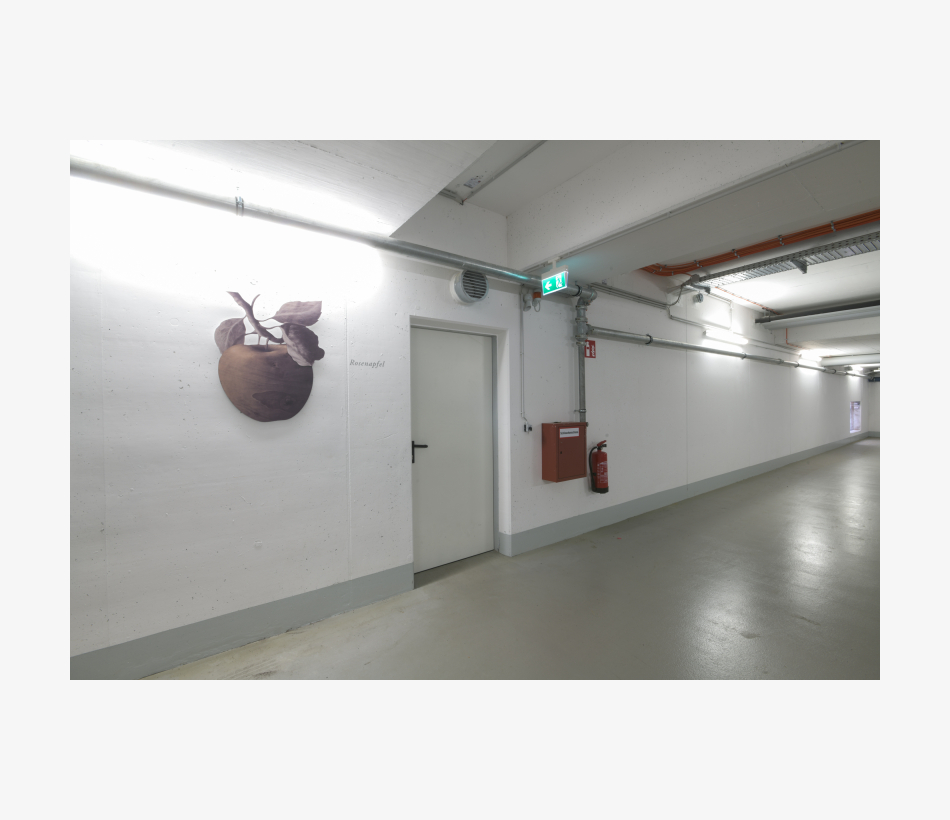 © Ferdinand Neumüller