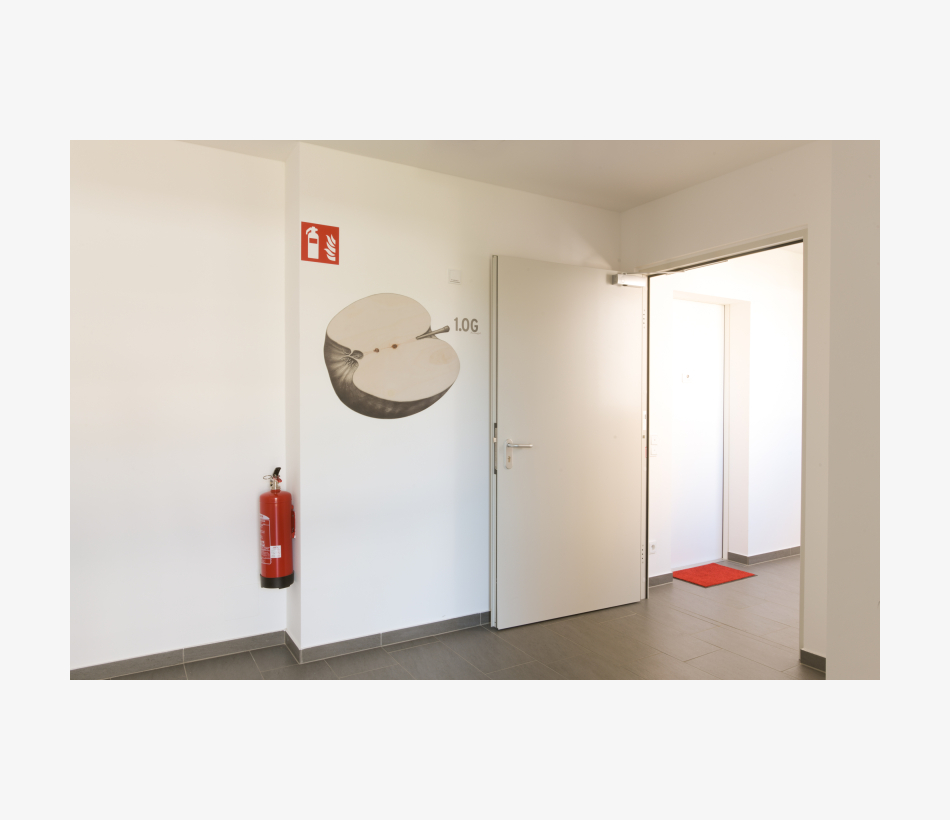 © Ferdinand Neumüller