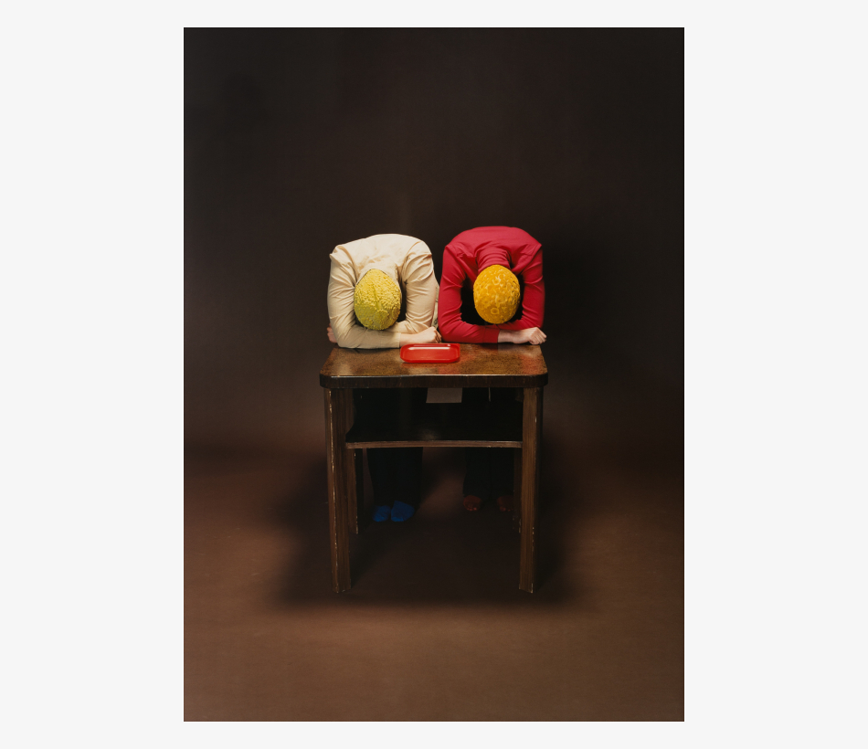 © Nina Rike Springer