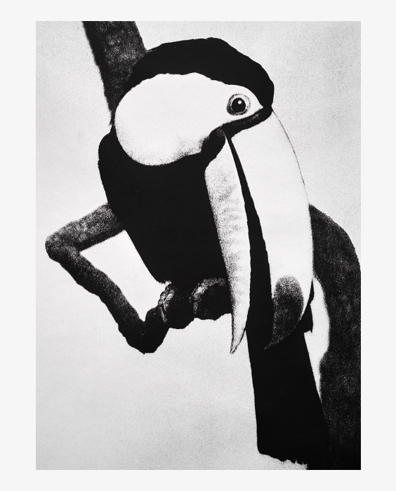 Foto: Jan Paul Evers