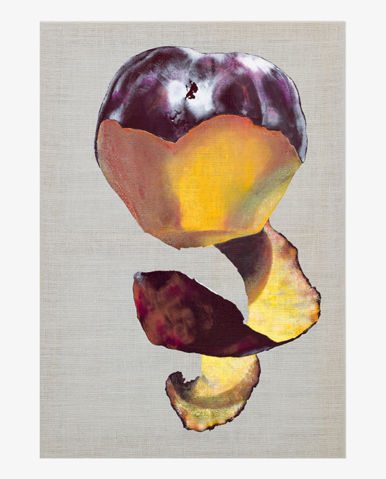 Foto: Wonnerth & Dejaco