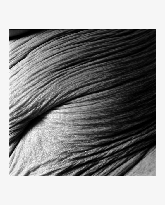 Foto: Herlinde Koelbl