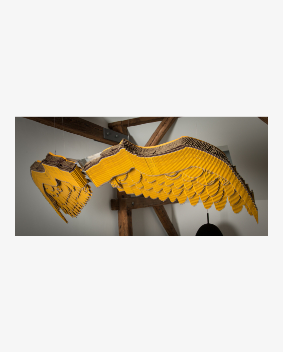 © Brandy Brandstätter