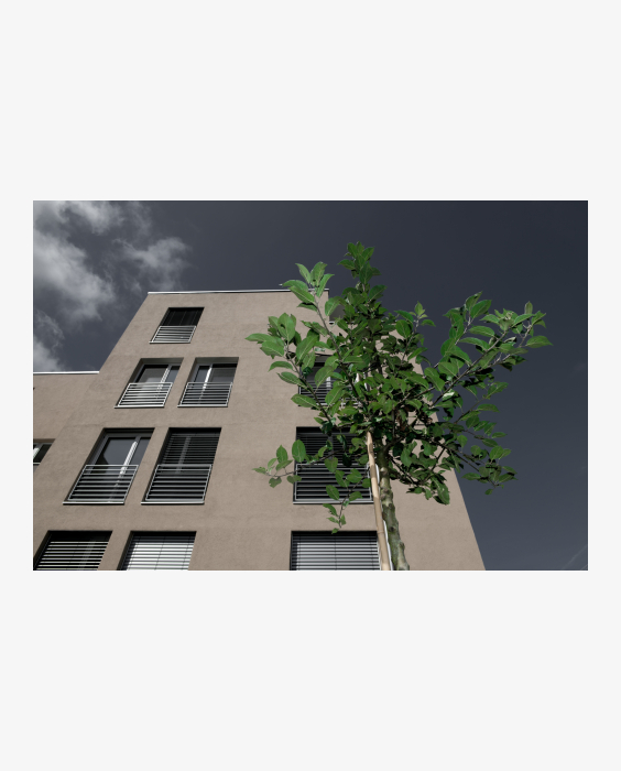 © Ferdinand Neumüller