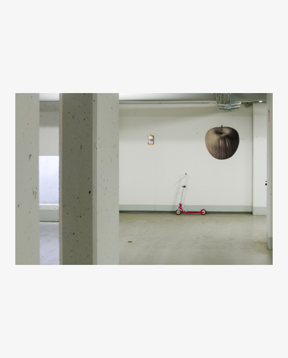 © Ferdinand Neumüller