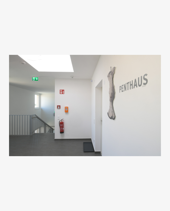 © Ferdinand Neumüller