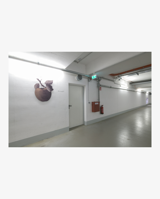 © Ferdinand Neumüller