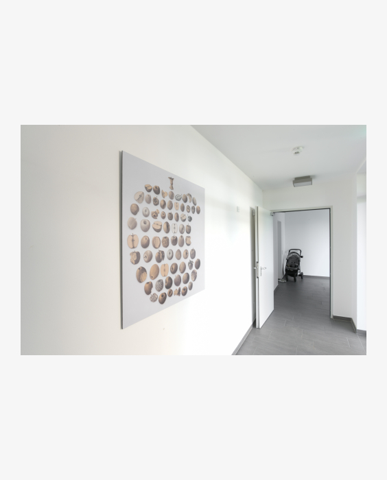 © Ferdinand Neumüller